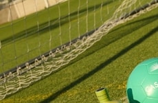 Vibrant Pre-Mixed Margaritas