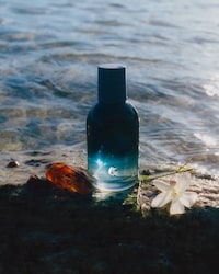 Creamy Solar Fragrances Image 1