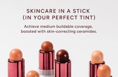 Waterless Multi-Functional Complexion Stick