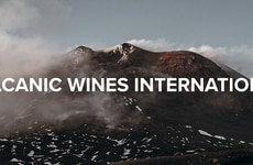 Volcanic Wine Conferences