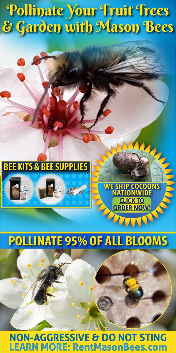 Spring Pollination Initiatives