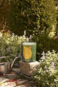 Opulent Royalty-Inspired Scents Image 2