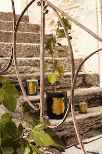 Opulent Royalty-Inspired Scents Image 3