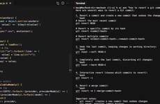 Terminal Coding Assistants