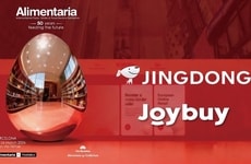 Strategic European Brand Collaborations