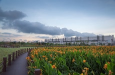 Coordinated Low-Carbon Transformations