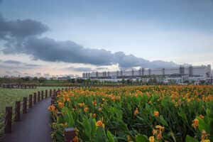 Coordinated Low-Carbon Transformations Article Thubnail