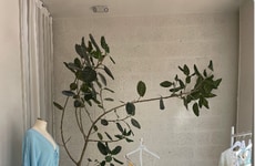 Exclusive Swimwear Pop-Up Stores