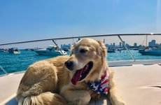Pet-Inclusive Cruise Residences