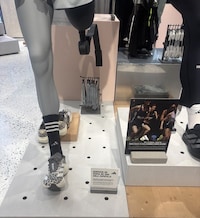 Single Shoe Services Image 1