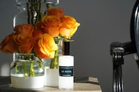 Scent-Sensitive Home Fragrances Image 1