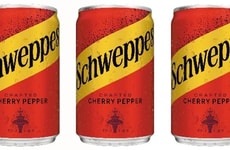 Spicy-Sweet Fruit Sodas