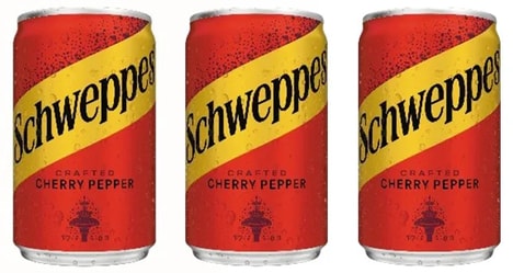 Spicy-Sweet Fruit Sodas