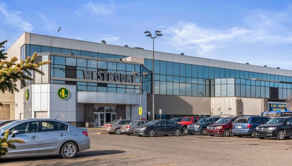 Open-Air Mall Conversions