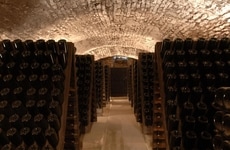 Sustainable Underground Cellars