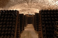 Sustainable Underground Cellars