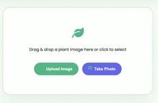 Plant Identification Tools