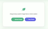 Plant Identification Tools Image 1