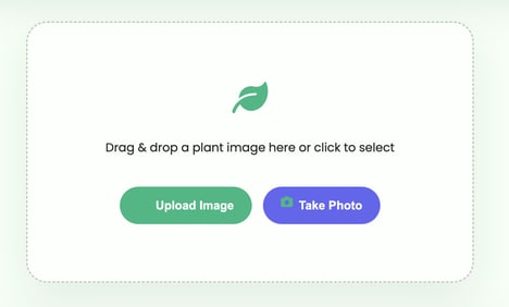 Plant Identification Tools