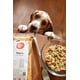 Human-Grade Dog Food Partnerships Image 1