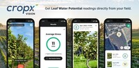AI-Powered Vineyard Technologies Image 1