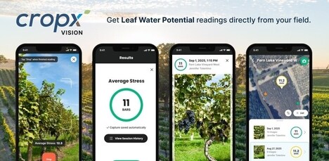 AI-Powered Vineyard Technologies