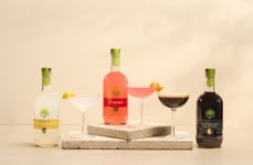 Classic Cocktail Expansions