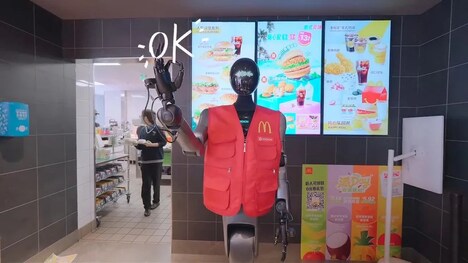Humanoid Service Robots C