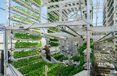 Compact Autonomous Farms