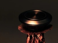 Palm Bark Table Lamps Image 3