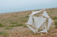 Wind-Powered Seeding Devices