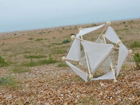Wind-Powered Seeding Devices Image 1