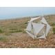 Wind-Powered Seeding Devices Image 1