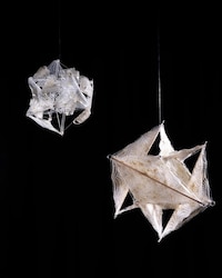 Wind-Powered Seeding Devices Image 3