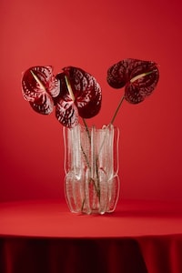 Glass Tableware Collection