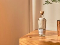 Expressive Aromatic Gins Image 1