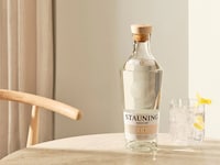Expressive Aromatic Gins Image 2