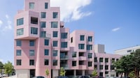 Pink Concrete Apartment Blocks Image 3