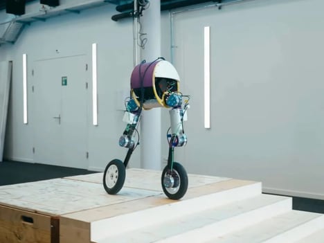 Wheeled Biped Robots