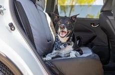 Top 60 Autos Trends in April