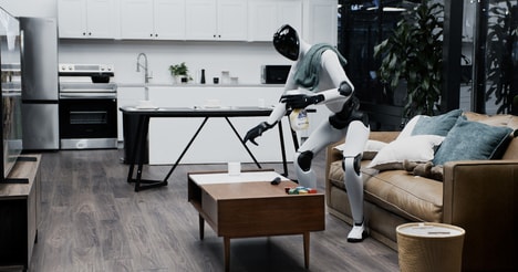 Tidy Home Humanoids