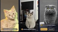 Pet Naming Communities Image 1