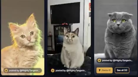 Pet Naming Communities