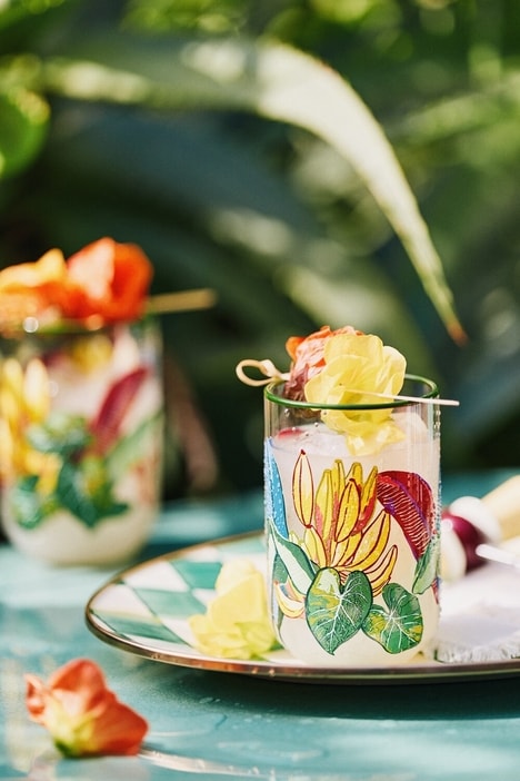 Brazilian-Inspired Collaborative Home Collections