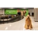 Humorous Pet Health Campaigns Image 1