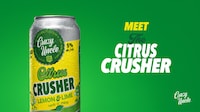 Citrus Hard Sodas Image 1