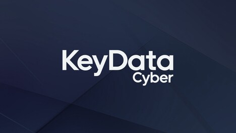 Identity Program Platforms