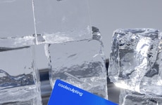 Loyalty-Promoting Aesthetic Medical Programs