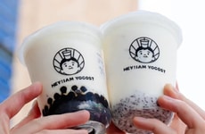 Rice-Infused Yogurt Drinks