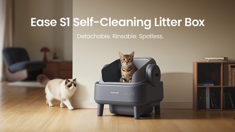 Modular Self-Cleaning Litter Boxes
